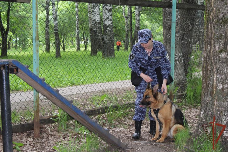 Вологодским журналистам о тонкостях службы в свой профессиональный праздник рассказали кинологи-росгвардейцы