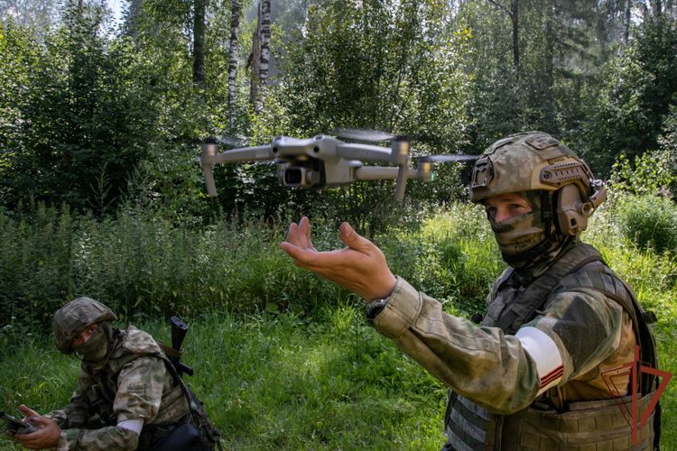 Врага увидим свысока