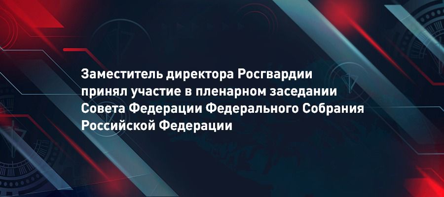 Генерал-полковник полиции Сергей Лебедев принял участие в пленарном заседании Совета Федерации Федерального Собрания Российской Федерации