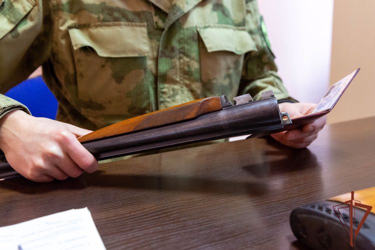 Росгвардейцы приняли на временное хранение свыше 400 единиц оружия от жителей Херсонской и Запорожской областей (видео)