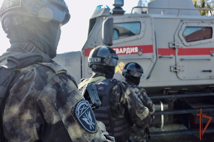 При содействии калининградского СОБР Росгвардии задержаны подозреваемые в кражах транспортных средств