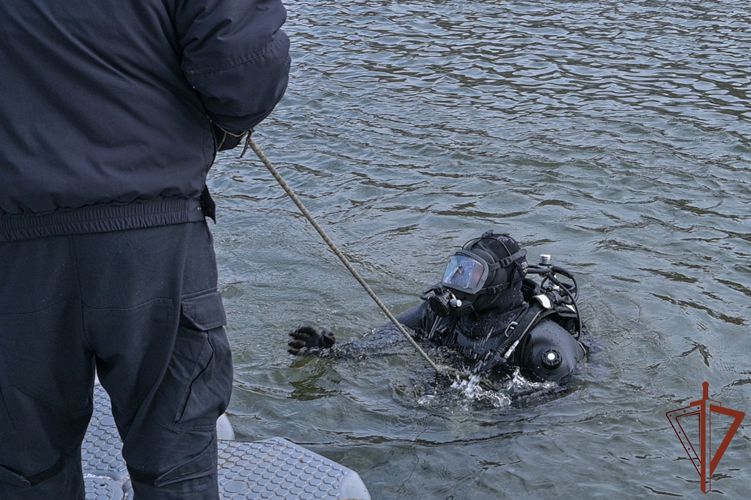 Водолазы Росгвардии провели учебные спуски на Москве-реке (видео)