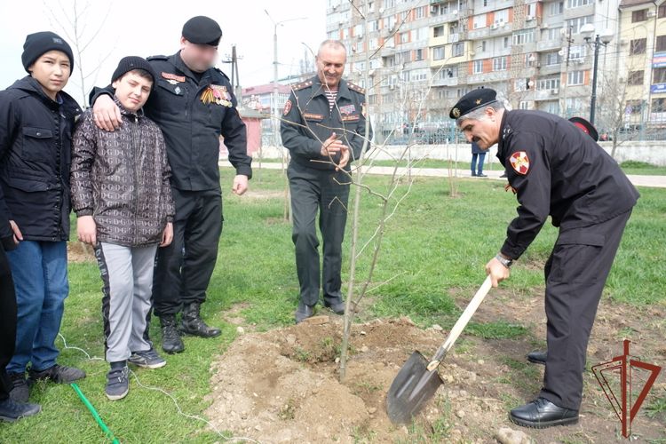 По инициативе Росгвардии в Дагестане появилась аллея Славы