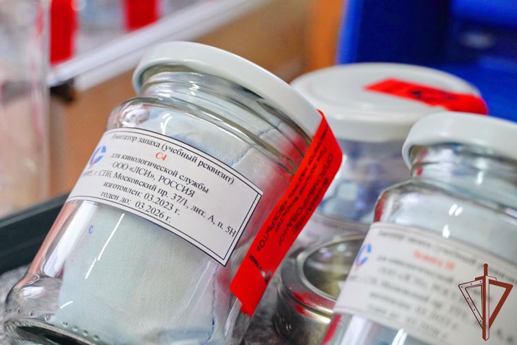 Кинологи Северо-Западного округа Росгвардии обучают собак поиску взрывчатых веществ НАТО (видео)