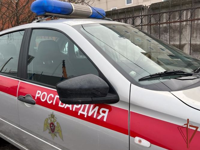 Сотрудники Росгвардии организовали эвакуацию детей из задымленных помещений детского сада в Санкт-Петербурге