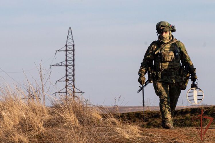 Росгвардейцы предотвратили взрыв на ЛЭП в Донецкой Народной Республике