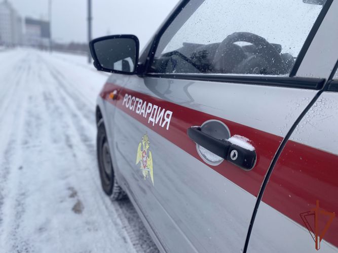  Жителям Красноярска росгвардейцы помогли найти потерявшегося ребенка 