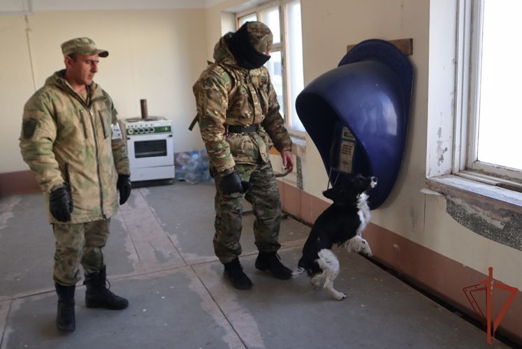 Кинологи Росгвардии продолжают совершенствовать своё профессиональное мастерство в Тюмени (видео)