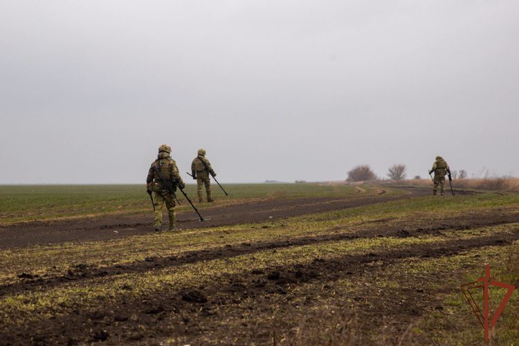 Саперы Росгвардии в Херсонской области уничтожили  найденный рядом с жилыми домами боеприпас (видео)
