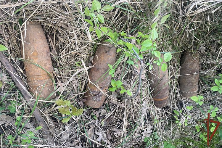 Более 30 боеприпасов времен ВОВ уничтожили взрывотехники Росгвардии на Кубани