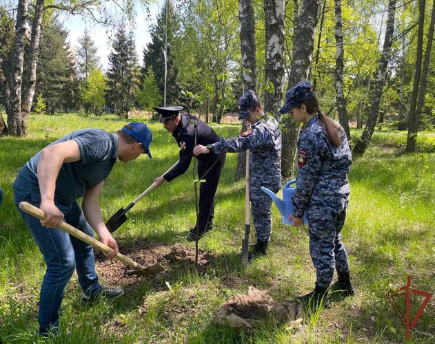 «Гвардейская смена» Подмосковья присоединилась к акции «Лес Победы»