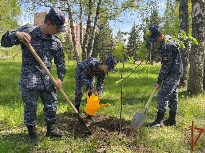 «Гвардейская смена» Подмосковья присоединилась к акции «Лес Победы»