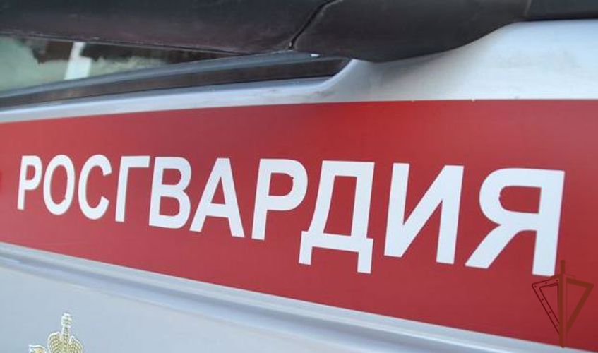 Сотрудники Росгвардии задержали дебошира с учебной гранатой в Кирове 