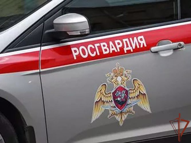 Сотрудники Росгвардии оказали содействие правоохранителям в проведении профилактических мероприятий в Ленинградской области