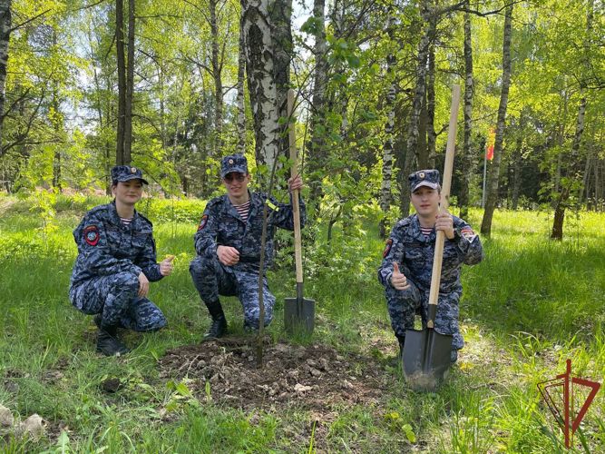 «Гвардейская смена» Подмосковья присоединилась к акции «Лес Победы»