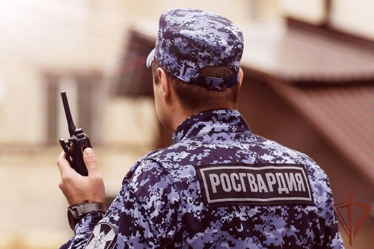 Коряжемские росгвардейцы нашли женщину пропавшую две недели назад 