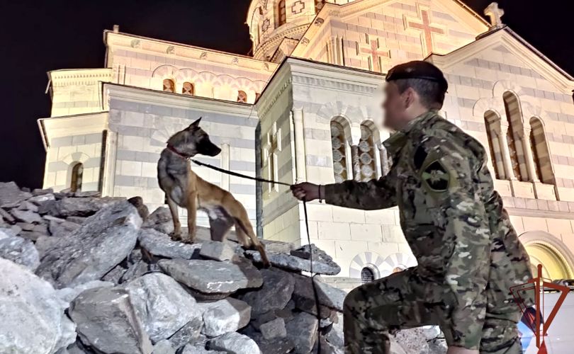 Специалисты-кинологи Южного округа Росгвардии отмечают профессиональный праздник