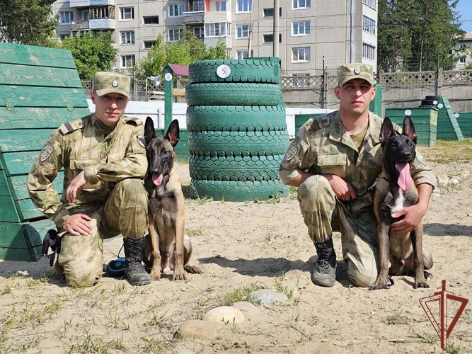 Кинологи Росгвардии отметили свой профессиональный праздник в Сибири