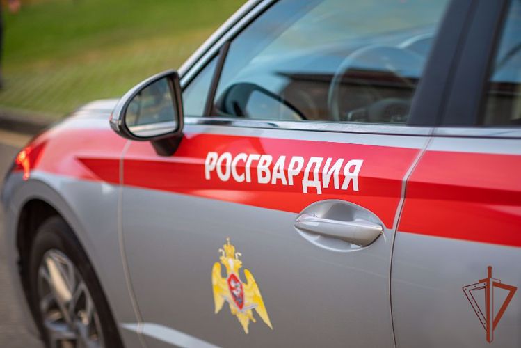 Патруль Росгвардии задержал подозреваемых в мошенничестве в Алтайском крае