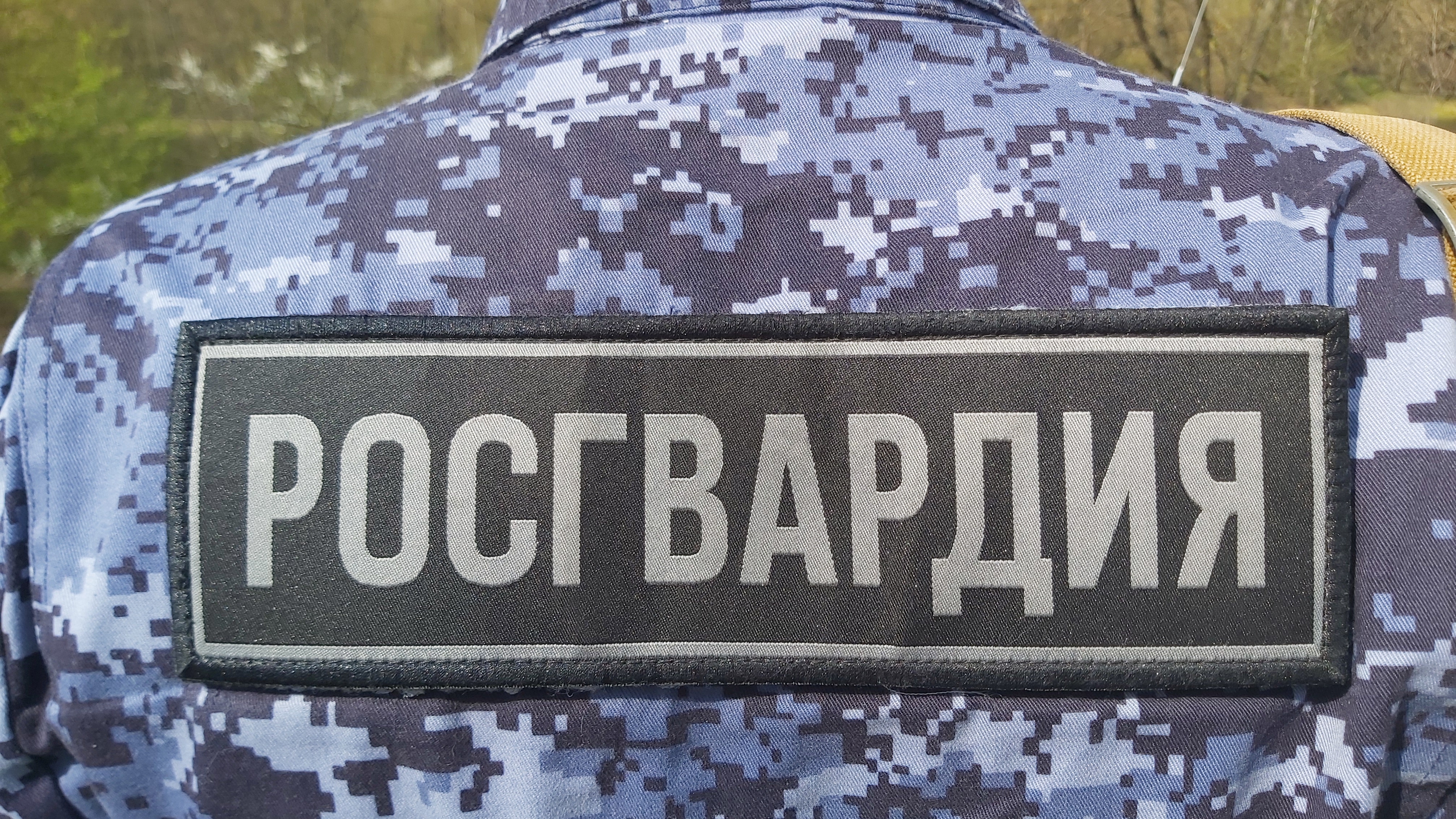 Сотрудники Росгвардии в столице помогли заблудившемуся лосю