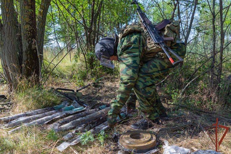 Росгвардейцы обнаружили тайник с боеприпасами в лесном массиве в ЛНР