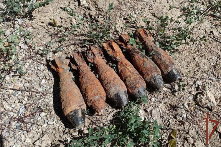 Взрывотехники Росгвардии на Кубани  уничтожили почти два десятка боеприпасов времен Великой Отечественной войны 