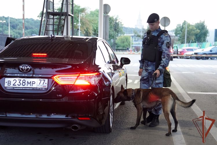 Росгвардия обеспечила безопасность проведения рок-концерта в «Лужниках»