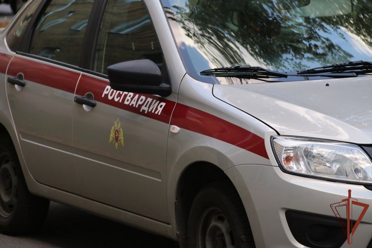 Росгвардейцы задержали стрелявших из охолощенного оружия мужчин