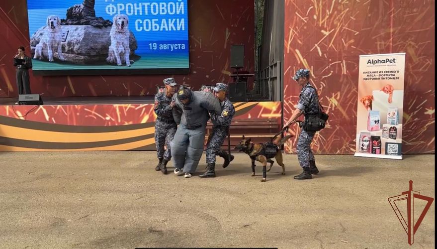 Кинологи Росгвардии со своими питомцами выступили на Дне фронтовой собаки в Москве