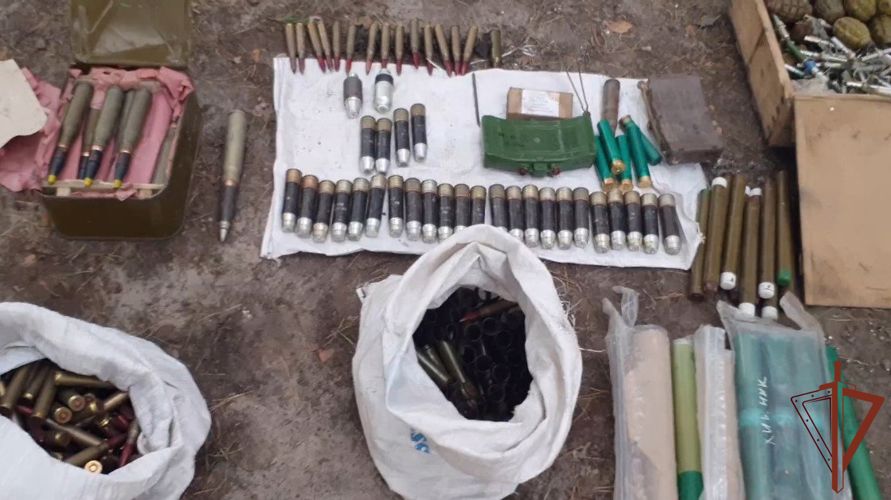 За месяц росгвардейцы обнаружили в ЛНР более 400 тысяч боеприпасов и свыше 30 тонн взрывчатки (видео)