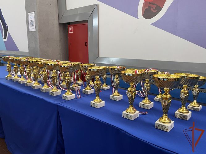 Чемпионат Сибирского округа Росгвардии по самбо завершился в Новосибирске