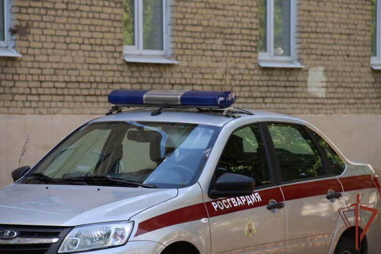Патруль Росгвардии задержал в Санкт-Петербурге вооруженного ножом постояльца хостела
