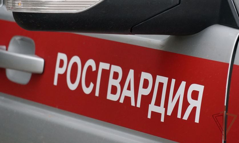 Росгвардейцы задержали агрессивную посетительницу больницы в Тульской области