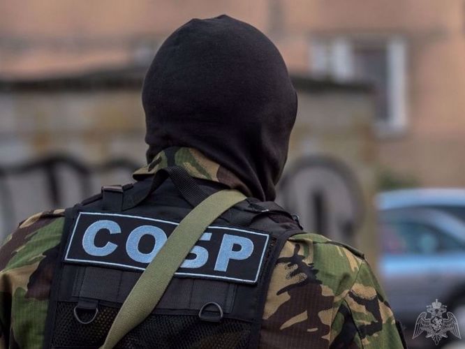 При содействии спецназа Росгвардии задержаны подозреваемые в краже в особо крупном размере