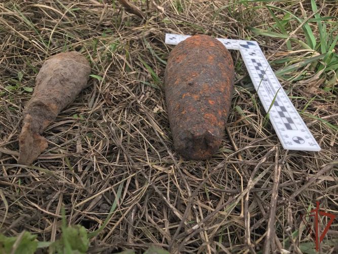 Взрывотехники Росгвардии в Рязанской области обезвредили боеприпасы времен ВОВ 