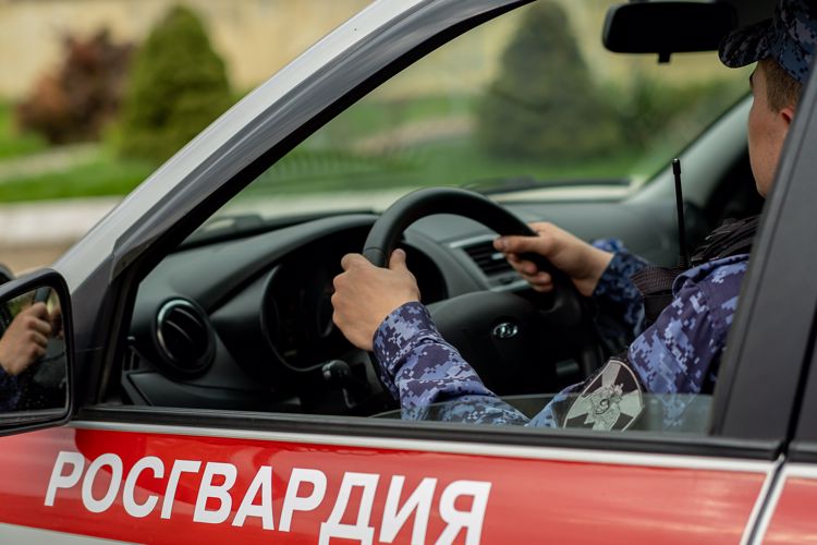 Угрожавший ножом таксисту злоумышленник задержан росгвардейцами в Москве
