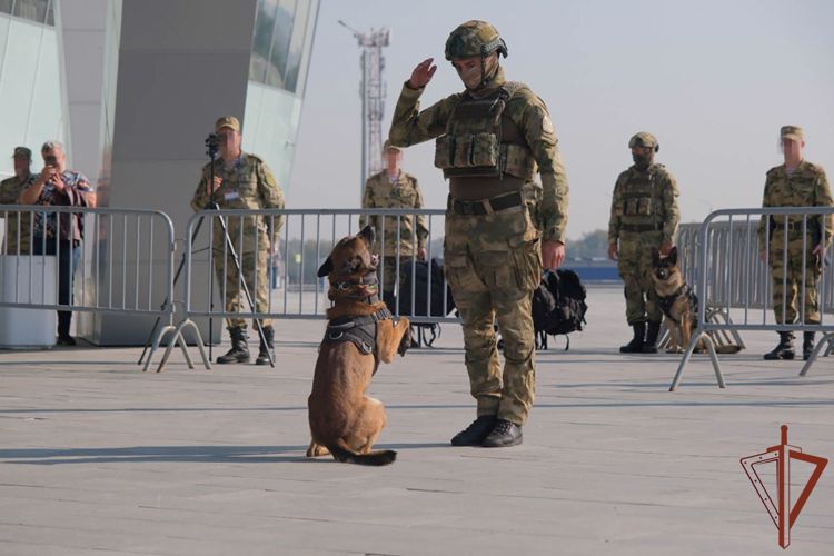 В преддверии Дня оружейника выставки вооружения и военной техники Росгвардии проходят по всей стране 