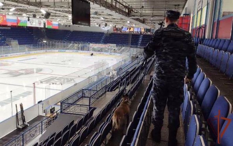 Росгвардия обеспечила правопорядок на крупных спортивных мероприятиях в Уральском округе 