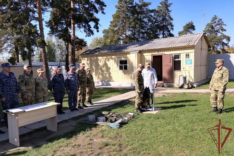 Учебно-методический сбор со специалистами ветеринарно–санитарной службы завершился на Урале 
