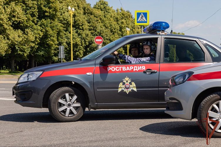 В Туле сотрудники Росгвардии пресекли факт вождения в нетрезвом виде