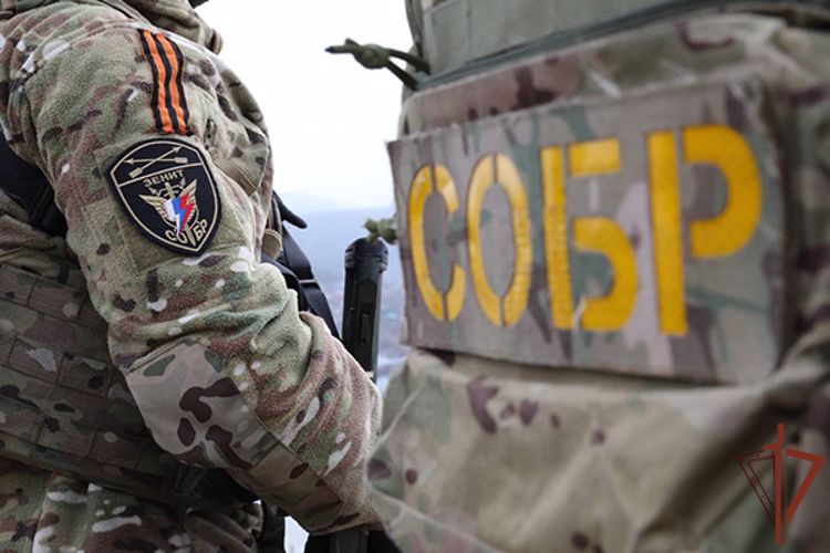 При содействии спецназа Росгвардии в Красноярске задержаны подозреваемые в организации оказания услуг интимного характера