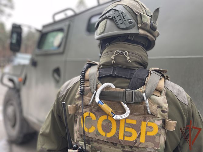 При участии спецназа Росгвардии пресечен канал нелегального сбыта оружия в Белгородской области 