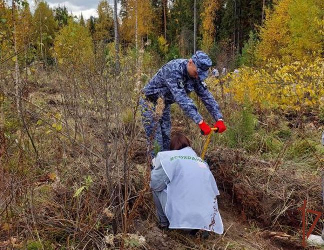 Росгвардейцы приняли участие в экологических акциях на Урале