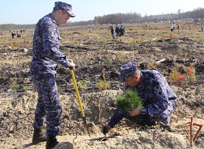 Росгвардейцы стали участниками всероссийских экологических  мероприятий на Урале