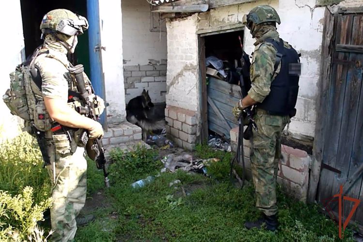 Оружие и боеприпасы изъяли из тайников и схронов росгвардейцы в ЛНР (ВИДЕО)