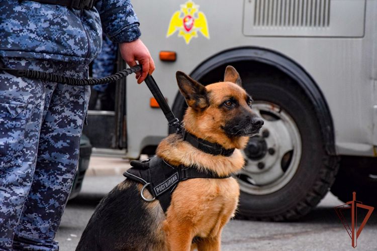 Росгвардейцы обеспечили безопасность матча КХЛ в Санкт-Петербурге