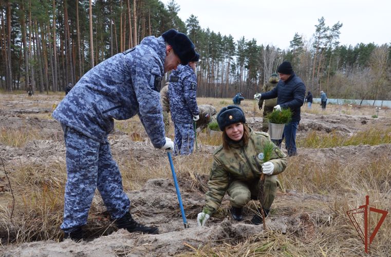 Росгвардейцы присоединились к Всероссийской акции по восстановлению лесов в Тамбовской области
