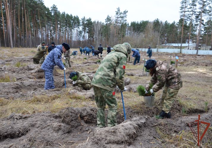 Росгвардейцы присоединились к Всероссийской акции по восстановлению лесов в Тамбовской области