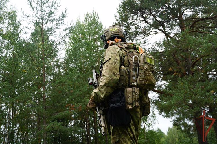Спецназ Росгвардии задержал в Карелии подозреваемых в мошенничестве 