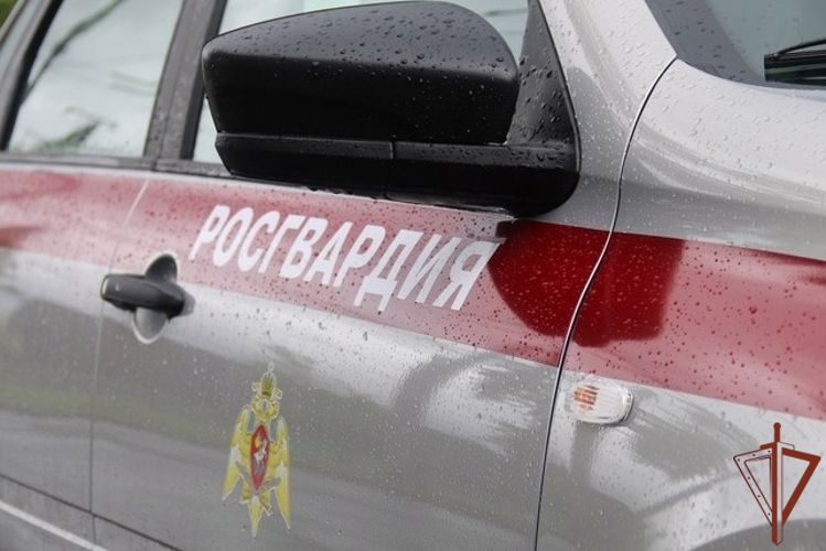 Наряд Росгвардии первым прибыл к месту пожара в поселке Ольгино и вызвал сотрудников МЧС
